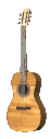 Spinning Acoustic Guitar